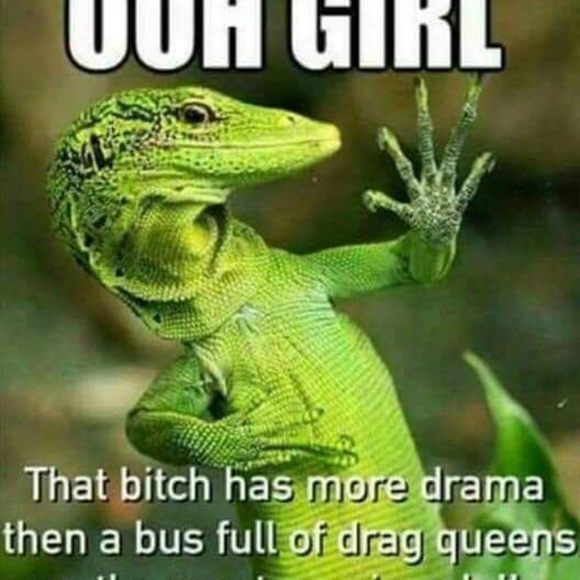 Meet your Posher, Aj - Picture 1 of 1